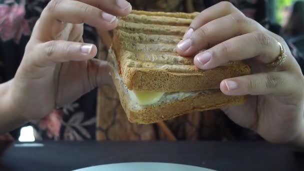 Mulheres Comendo Sanduíche Clube Pacote Papel — Vídeo de Stock