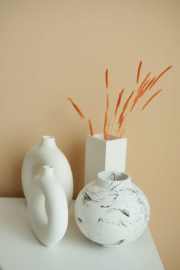 Açık turuncu renkli duvara karşı ev dekorasyonu 