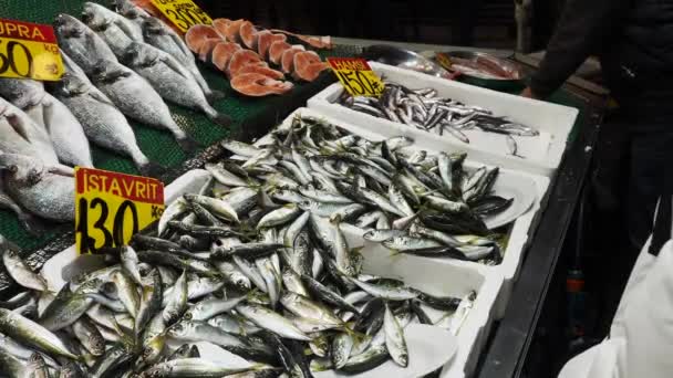 Čerstvé Ryby Ledu Místním Obchodě — Stock video