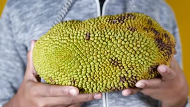 Hand Houden Jackfruit Close — Stockvideo