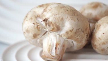 Fresh champignons mushroom in a white bowl on table ,