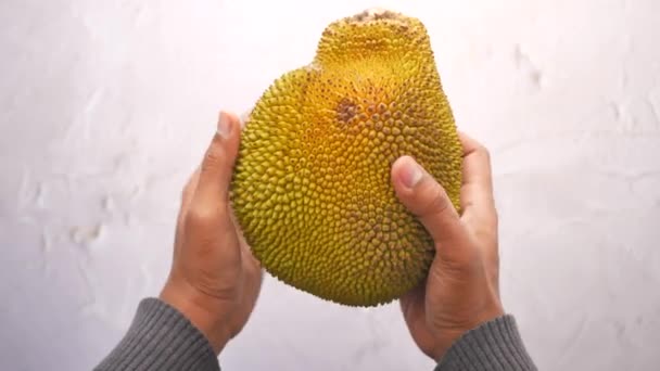 Tangan Memegang Jackfruit Top View — Stok Video
