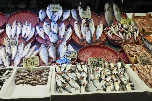 Verse Vis Ijs Bij Plaatselijke Markt — Stockfoto