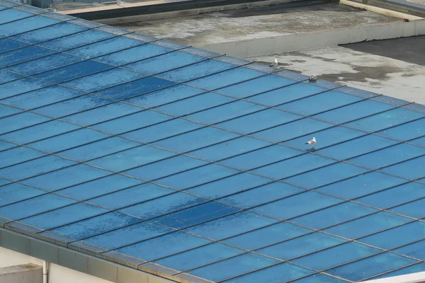 Solarpaneele Auf Dem Dach — Stockfoto