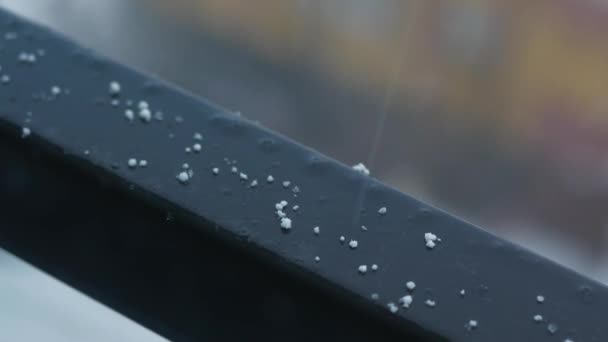 Detail Shot Seamless Fresh Snow — Vídeos de Stock