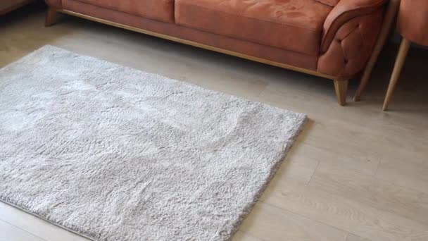 木製の床にシームレスカーペット — ストック動画