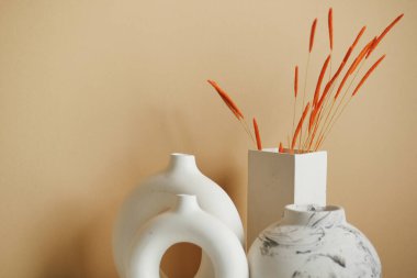 Açık turuncu renkli duvara karşı ev dekorasyonu 