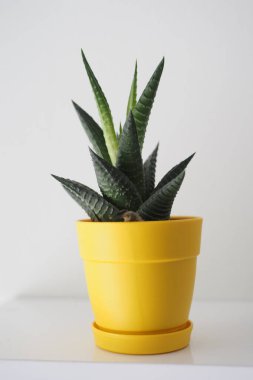 Oturma odasında bir çaydanlık. Dekorasyon kavramı