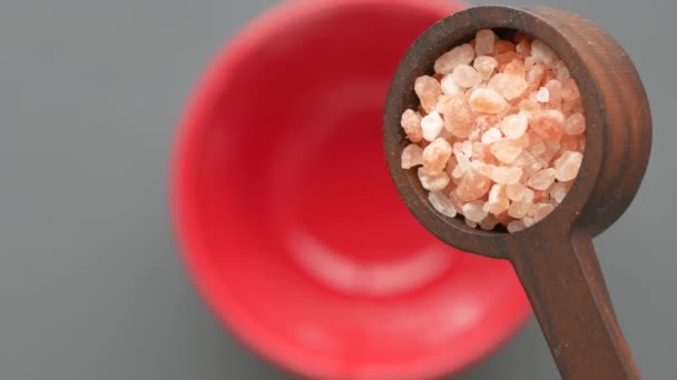 Raw Dried Pink Himalayan Salt — стоковое видео