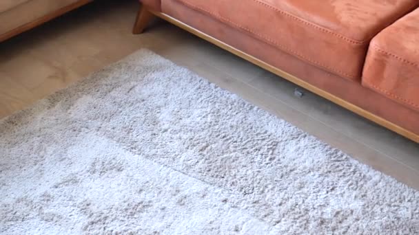 コピースペース付き木製の床の上にシームレスなグレーのカーペットテクスチャの背景 — ストック動画