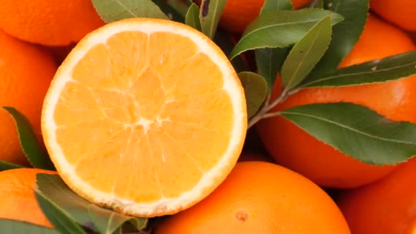 Zblízka Plátek Pomerančového Ovoce Misce — Stock video