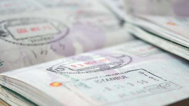 スタンプ パスポートのシールの詳細ショット — ストック動画