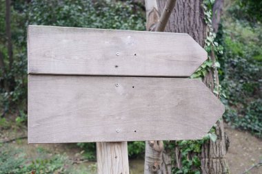  Fotokopi alanı kavramlı bir parkta yeşil ahşap tabela