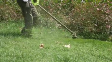 Adam kesme çim bir çim biçme makinesi kullanarak bir Bahçe