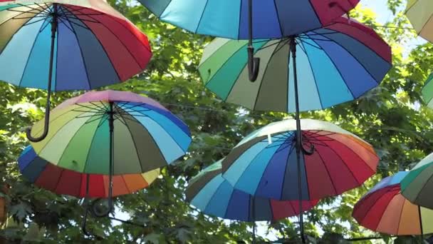 Arka Planda Gökkuşağı Şemsiyesi Bir Sürü Renkli Şemsiye — Stok video