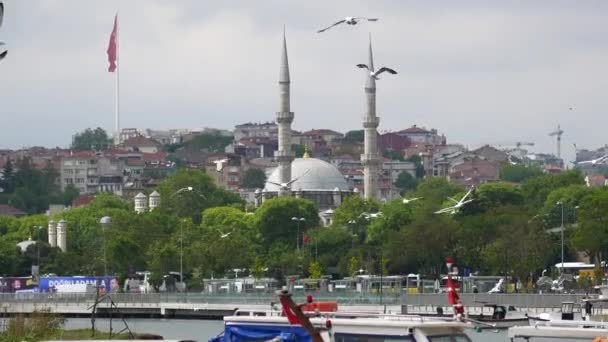 Gaivotas Voando Céu Azul Dia Ensolarado Verão Istanbul — Vídeo de Stock