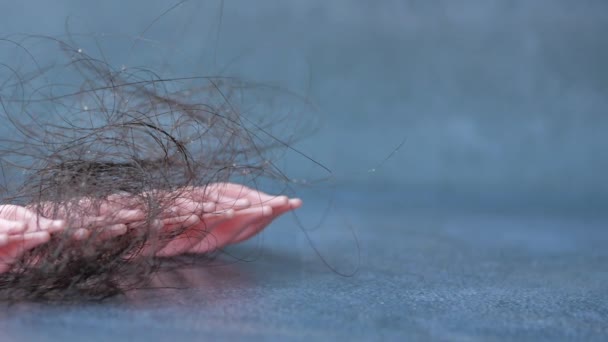 Szczotka Utraconymi Włosami — Wideo stockowe