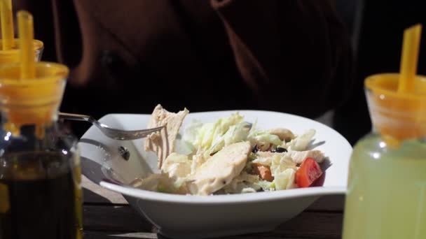 Vegetable Salad Grilled Chicken — Stock Video
