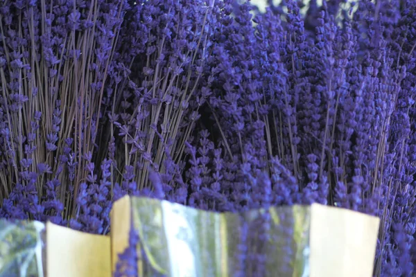 Trockene Lavendelsträuße Aus Nächster Nähe — Stockfoto