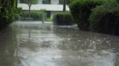 İstanbul 'da bir parkta patikaya düşen yağmurun düşük açılı görüntüsü ,