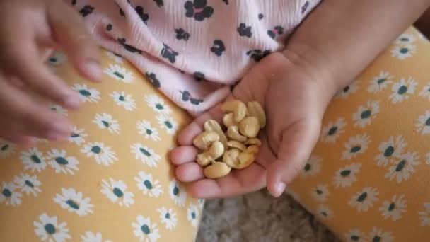 Kind Hand Pick Cashew Noten Bovenaanzicht — Stockvideo