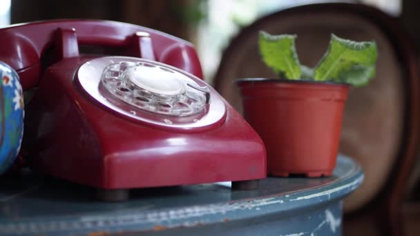 Красный Цвет Ретро Телефон Столе — стоковое видео