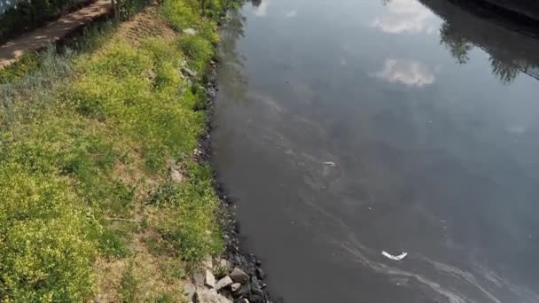 Znečištění Jezera Špinavá Voda Vysoce Kvalitní Záběry — Stock video
