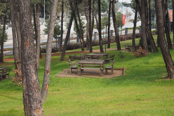 Gros Plan Une Table Pique Nique Bois Istanbul — Photo