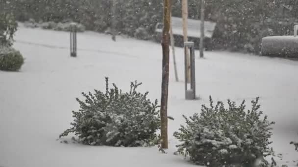Βαρύ Χιόνι Και Χιονοθύελλα Συνθήκες Στην Κωνσταντινούπολη — Αρχείο Βίντεο