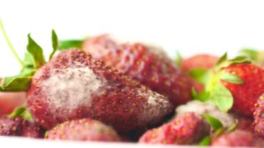 Masadaki çileklerin üzerindeki gri küf