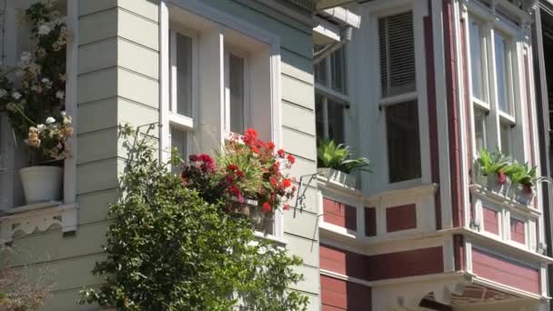 Flowering Plants Blooming Flowers Balcony House — Vídeo de Stock