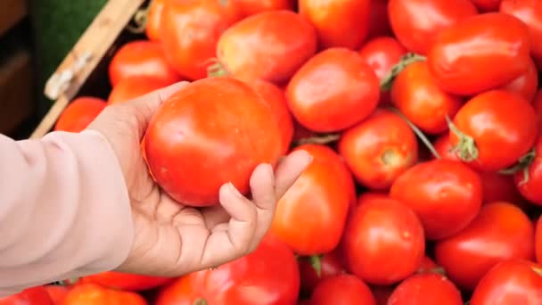 Vrouwen Kies Rijpe Tomaat Markt — Stockvideo