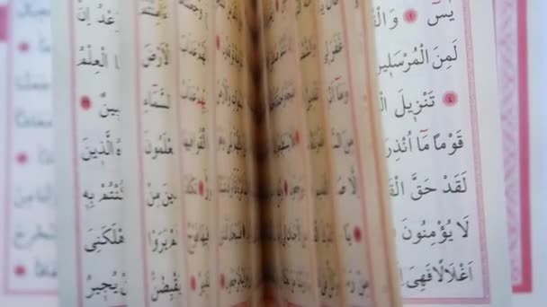 Heilige Boek Koran Moskee — Stockvideo