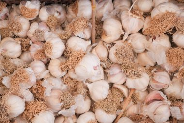 Beyaz arkaplanda pf sarımsağı kapat,,