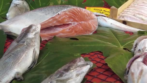 Peixe Salmão Fresco Gelo Loja Mercado Local — Vídeo de Stock