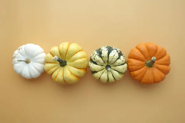 Diversi Tipi Sfondo Colore Mini Zucche — Foto Stock