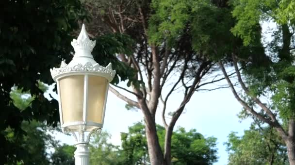 Lámpara Calle Vintage Parque — Vídeo de stock