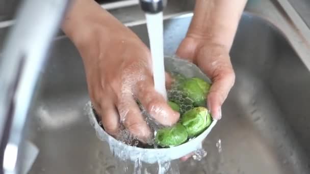 Kobiety Myć Ręcznie Zielone Surowe Brukselki Kiełki Zlewie — Wideo stockowe