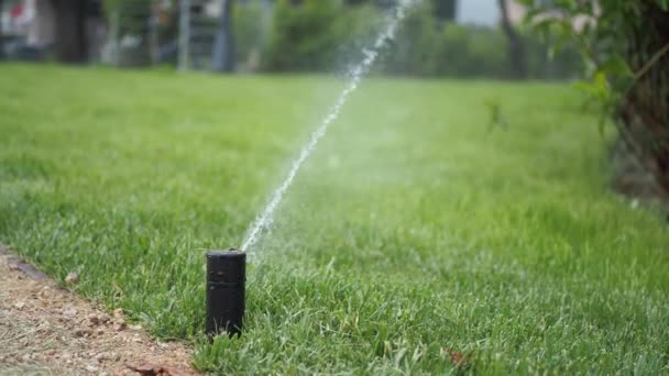 Automatisk Bevattning Gräs Trädgård Gräsmatta Sprinkler Aktion — Stockvideo