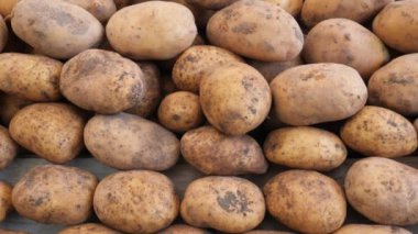 Bir kasedeki çiğ patatesi yakın çekim. ,