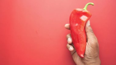 Kırmızı dolma biber tutmanın en üst görüntüsü