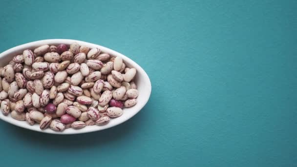 Top View Raw Soy Beans Bowl — Stock Video