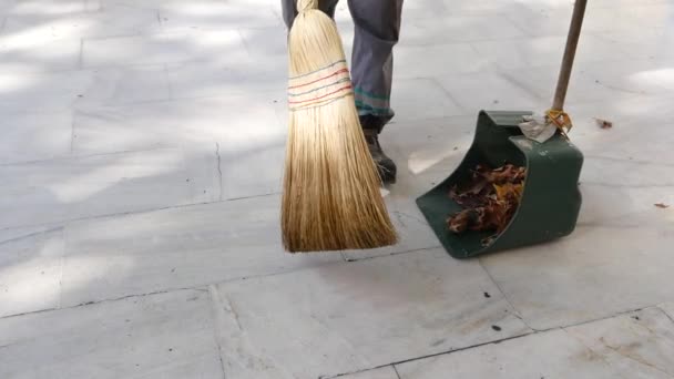 Cleaning Fallen Leaves Park — 图库视频影像