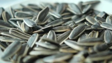 Ayçiçeğinin yavaş çekimleri Bir kaseye düşen tohumlar .