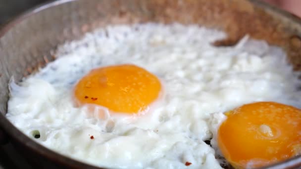 Fried Eggs Plate Close — Wideo stockowe