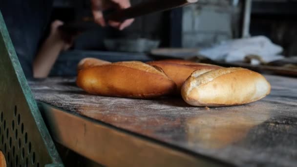 面包在烤箱里 老面包店的细节 — 图库视频影像