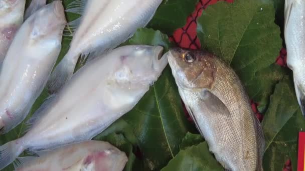 Čerstvé Ryby Ledu Místním Obchodě — Stock video