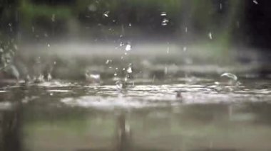 İstanbul 'da bir parkta patikaya düşen yağmurun düşük açılı görüntüsü ,