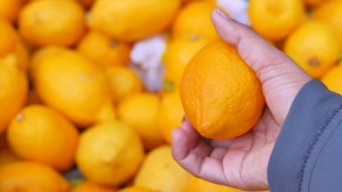 İstanbul 'da süpermarketlerde limon satışı .