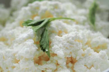 Beyaz arkaplandaki taze peyniri kapat